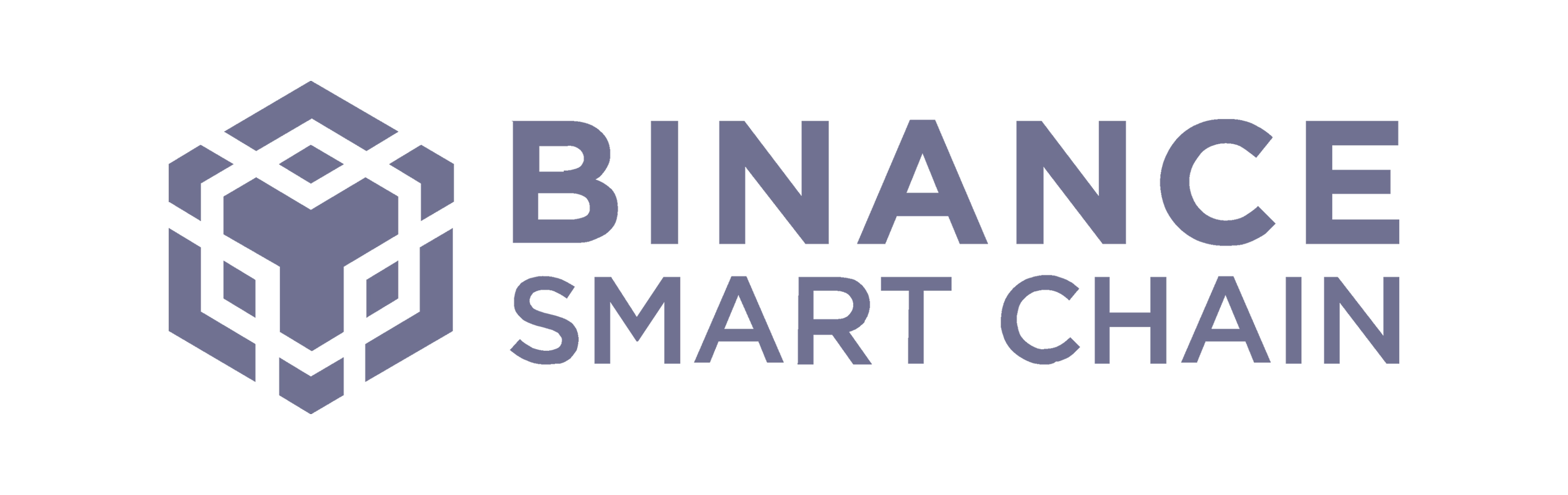 Binance Smart Chain